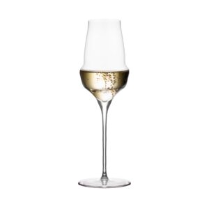 Rounded Champagne Flute 11 ½ oz